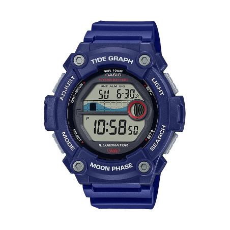 Męski Zegarek Casio WS-1300H-2AVEF Klasyczny - JubilerSezam.pl