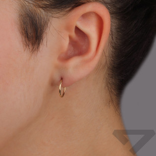 Zlaté Náušnice Kruhy Kloubové 10mm ryzost 585 | iSezam.cz