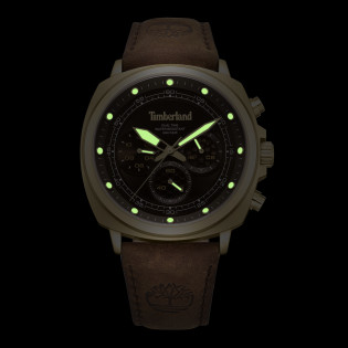 Zegarek Timberland Williston TDWGF0042003 - JubilerSezam.pl