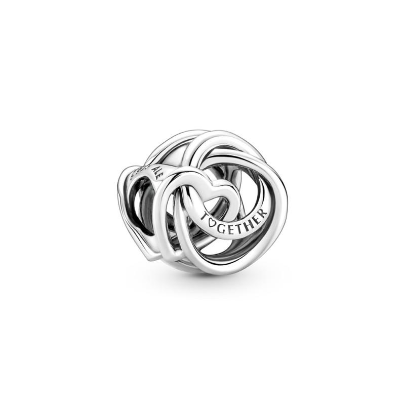 Charms Pandora Rodzina jest najważniejsza 791507C00