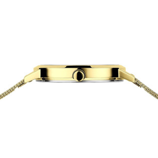 Zegarek damski Bering 13434-334-GWP